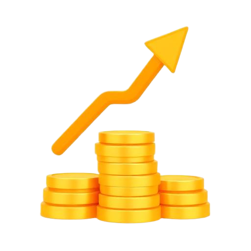 Daily Earnings